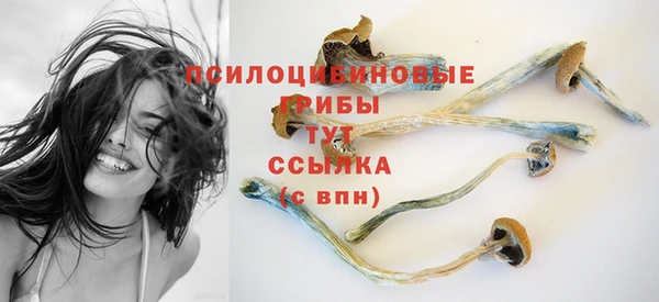 прущая мука Протвино