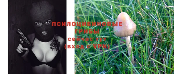 прущая мука Протвино