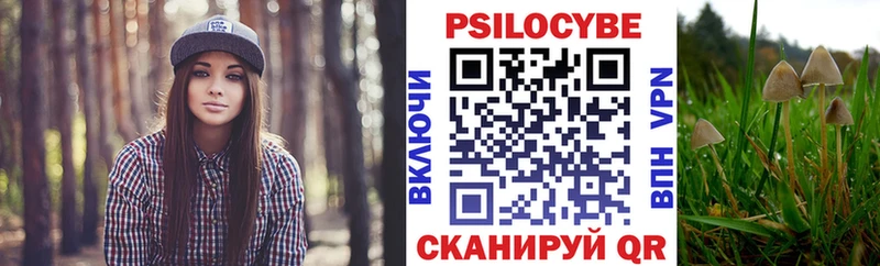 Псилоцибиновые грибы Psilocybine cubensis  Берёзовский 